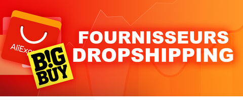 fournisseur dropshipping