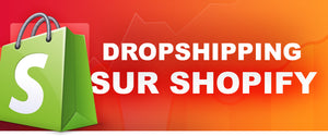 Comment faire du Dropshipping sur Shopify ?