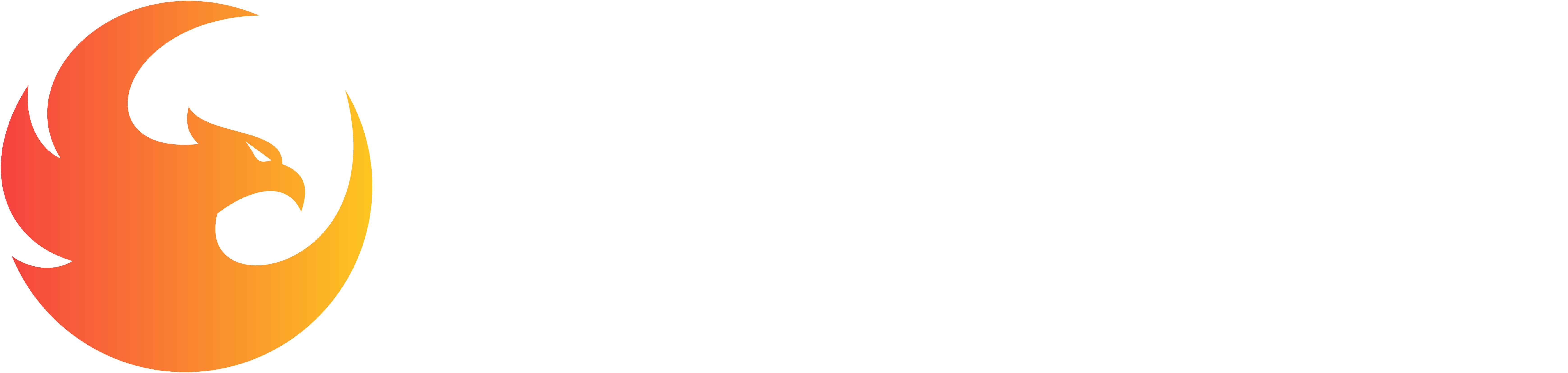 Logo Dropshipping Reborn